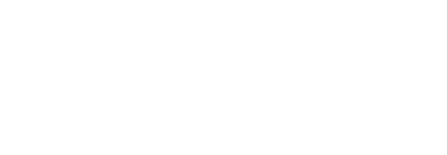STILL OBJECTS 